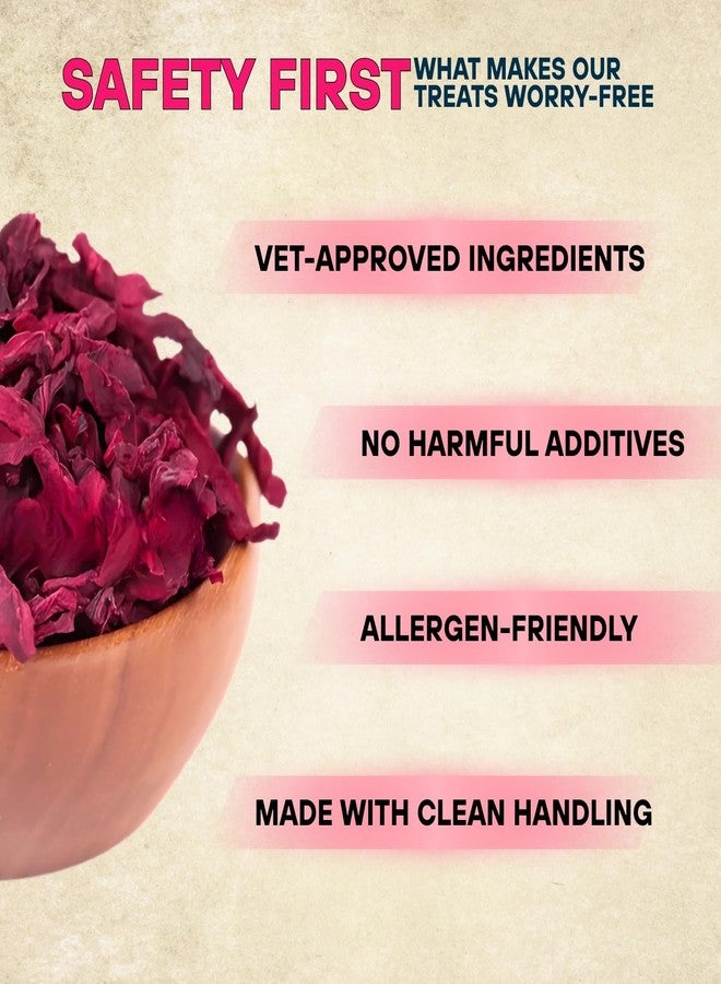 سايج سكوير رقائق الشمندر المجفف من سيج سكوير، مثالية لحيوانات السكر الطائرة - وجبات خفيفة طبيعية وصحية ولذيذة | غنية بالألياف والفيتامينات | خالية من المواد الحافظة الاصطناعية | قليلة الدسم وسهلة الهضم | مناسبة للتدريب والمضغ | 75 غرام - Image 5